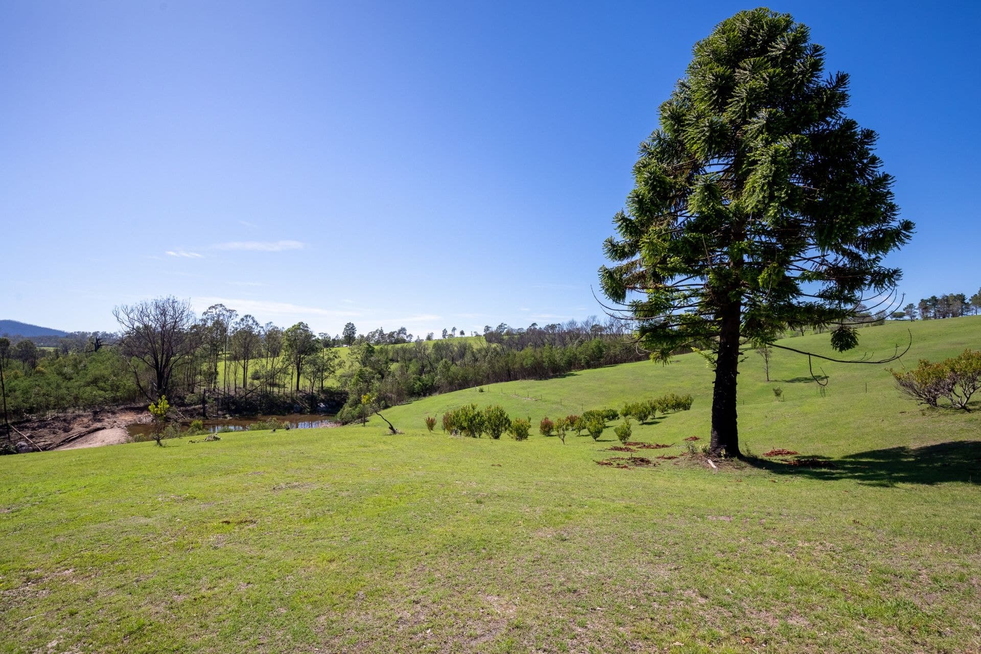 452 Yowrie Road Yowrie NSW, Yowrie - Image 1