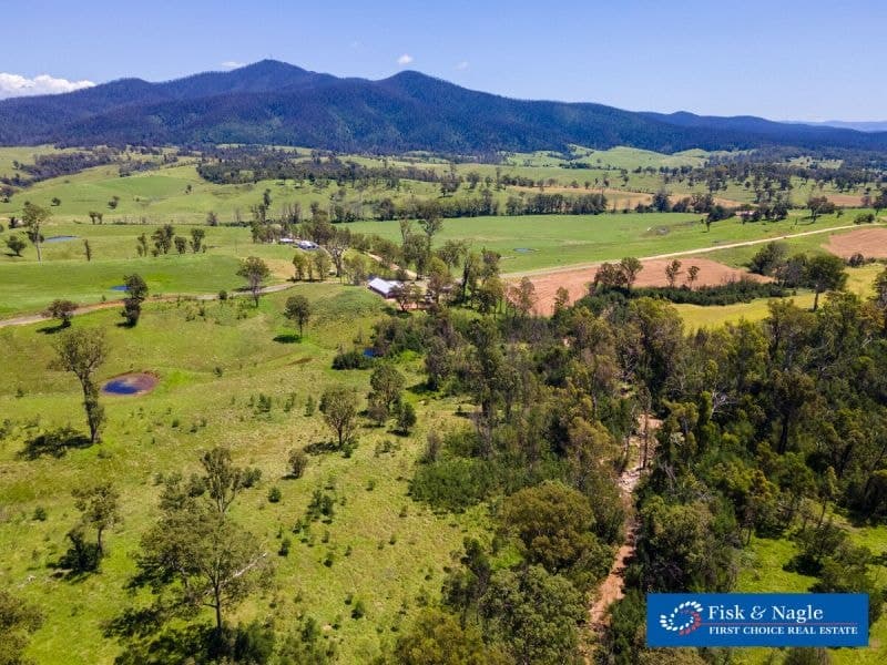 966 Wandella Road Wandella NSW, Wandella - Thumbnail 5