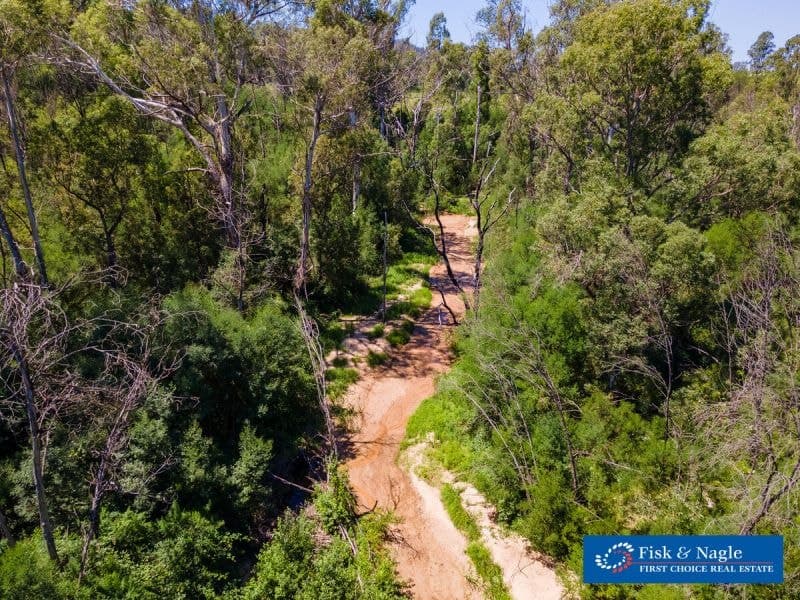 966 Wandella Road Wandella NSW, Wandella - Thumbnail 6