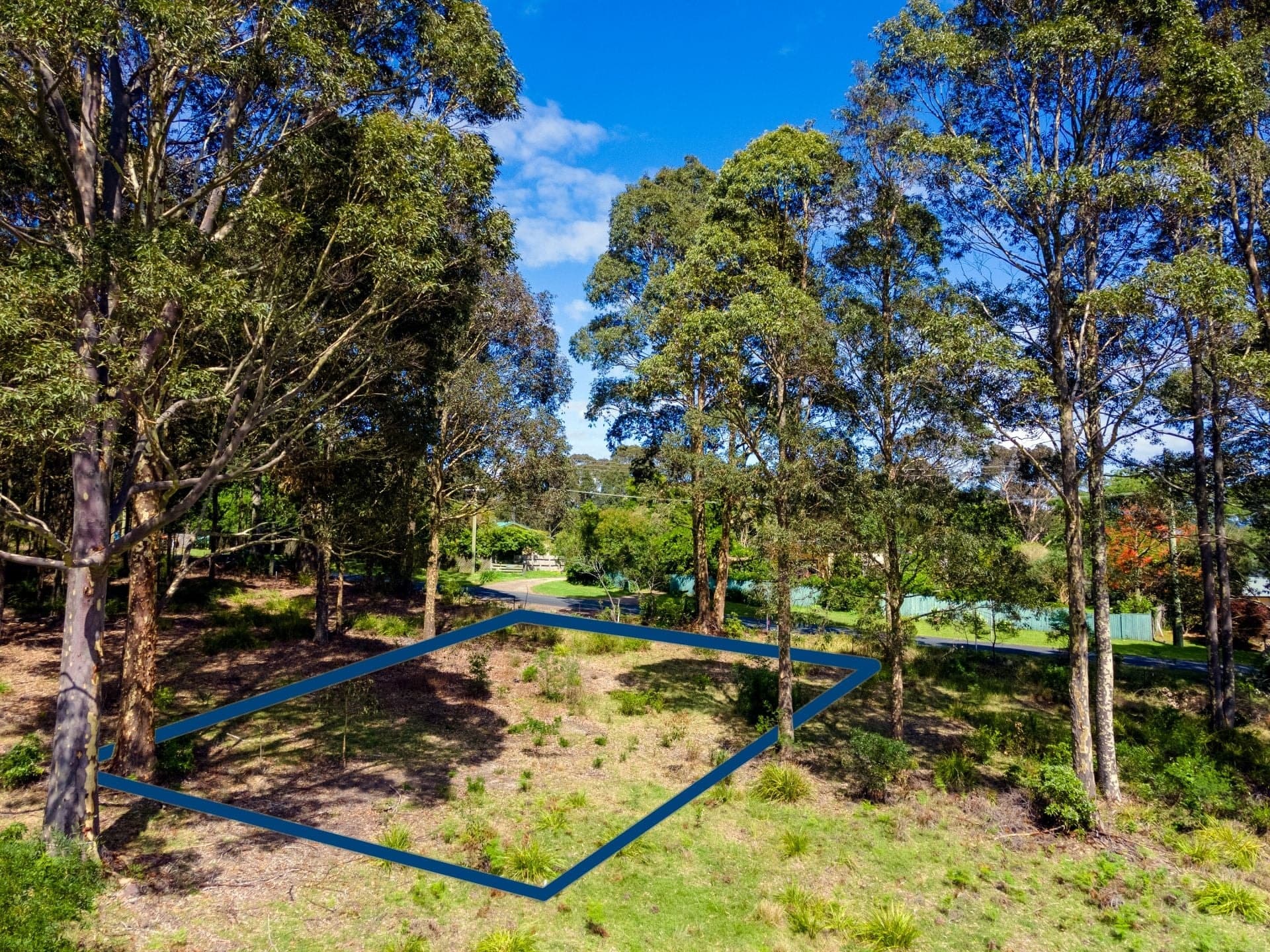 303 Nutleys Creek Road Bermagui NSW, Bermagui - Thumbnail 3