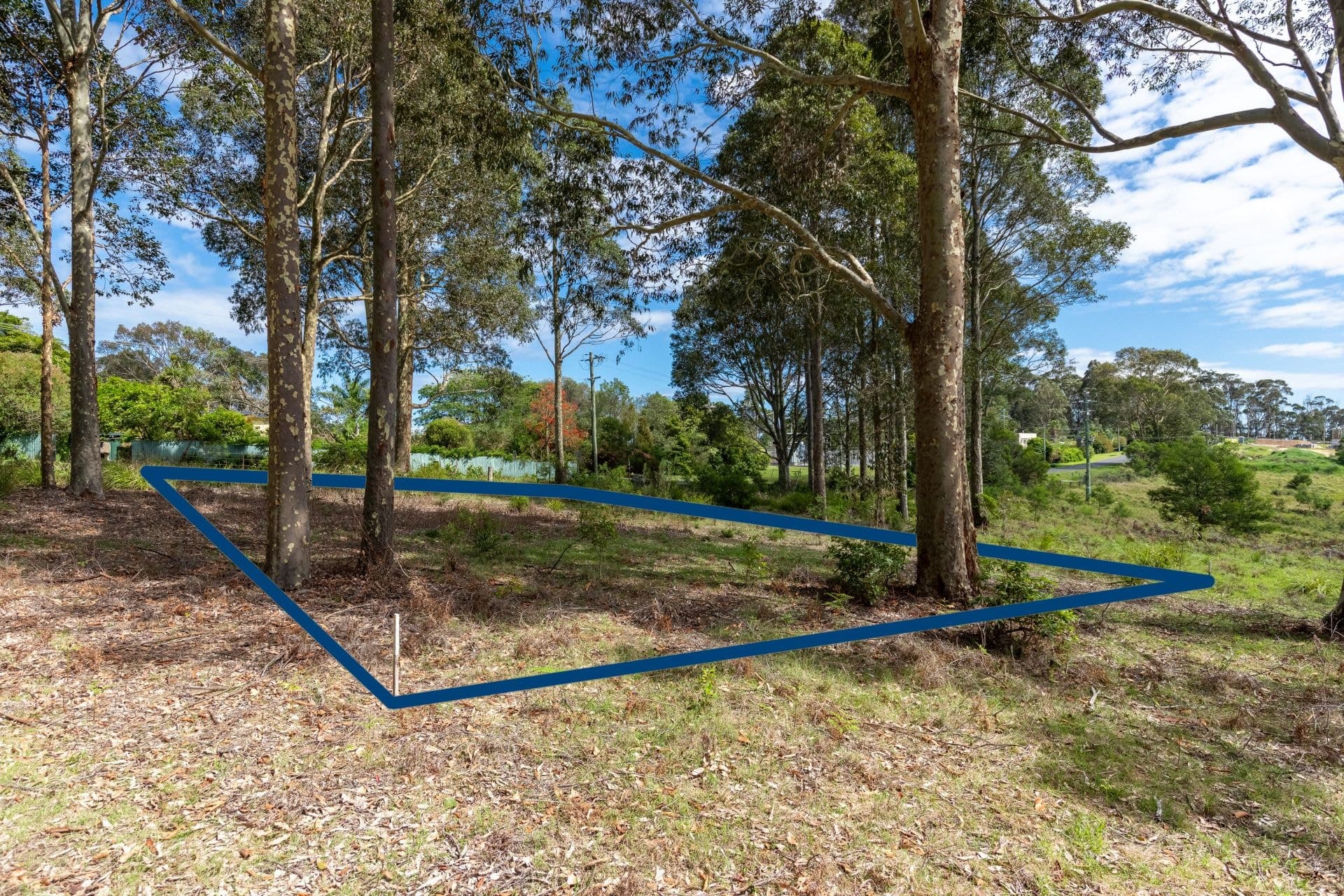 303 Nutleys Creek Road Bermagui NSW, Bermagui - Thumbnail 4