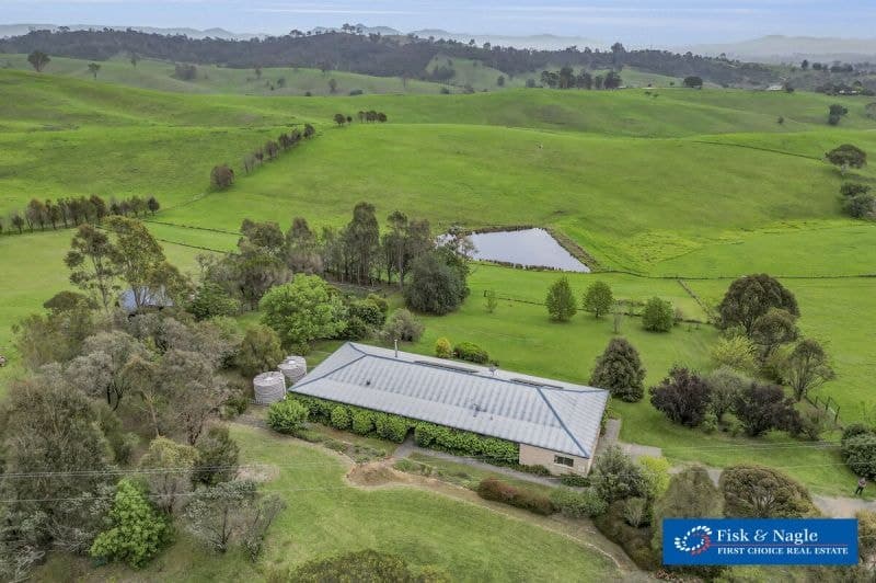 108 Tantawangalo Mnt Road Candelo NSW, Candelo - Thumbnail 4