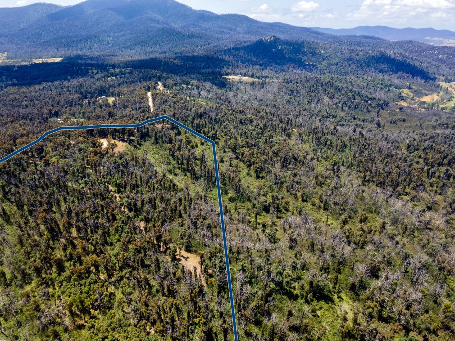 123 Murrabrine Forest Road Yowrie NSW, Yowrie - Image 1