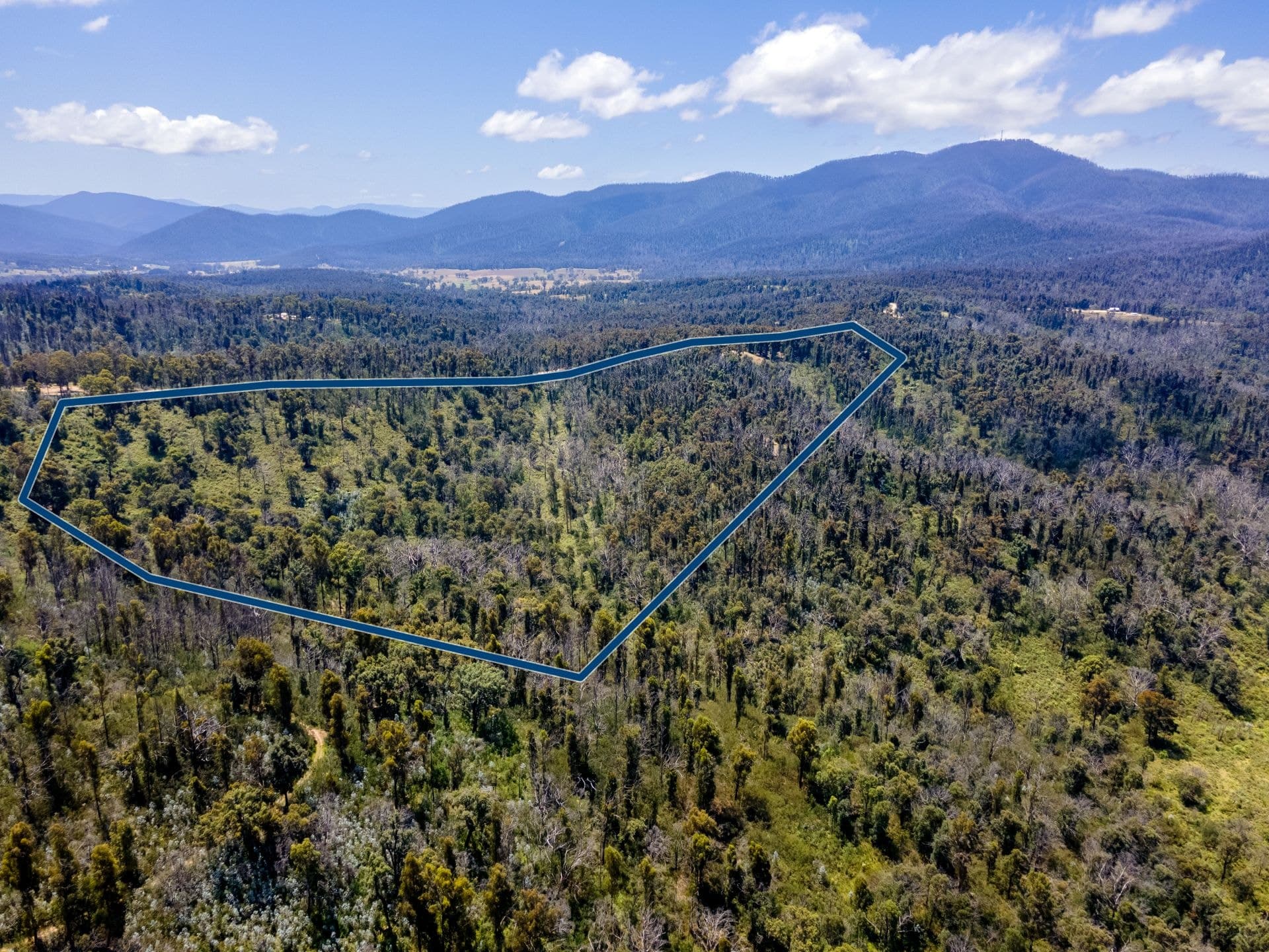 123 Murrabrine Forest Road Yowrie NSW, Yowrie - Thumbnail 2
