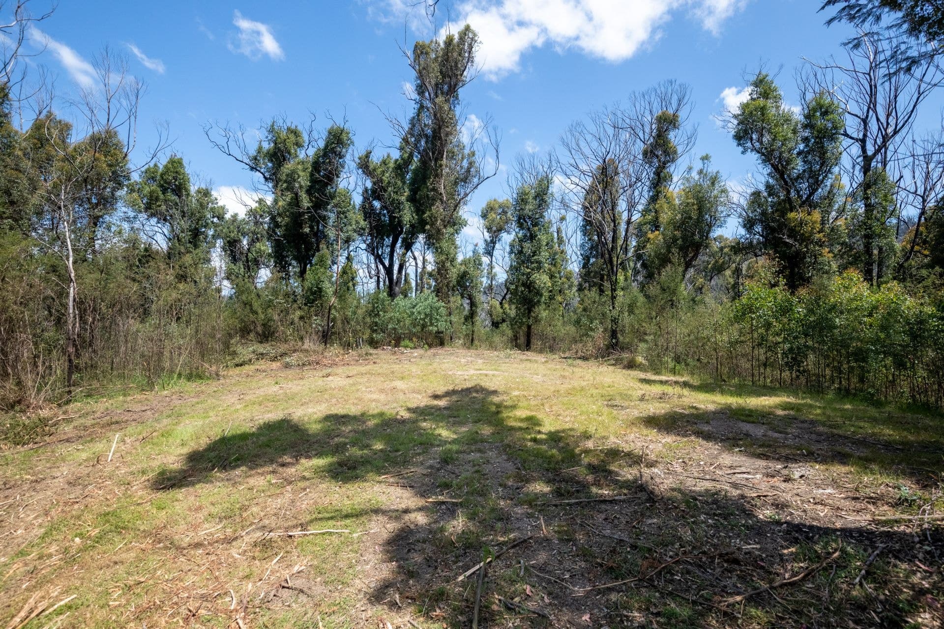 123 Murrabrine Forest Road Yowrie NSW, Yowrie - Thumbnail 8