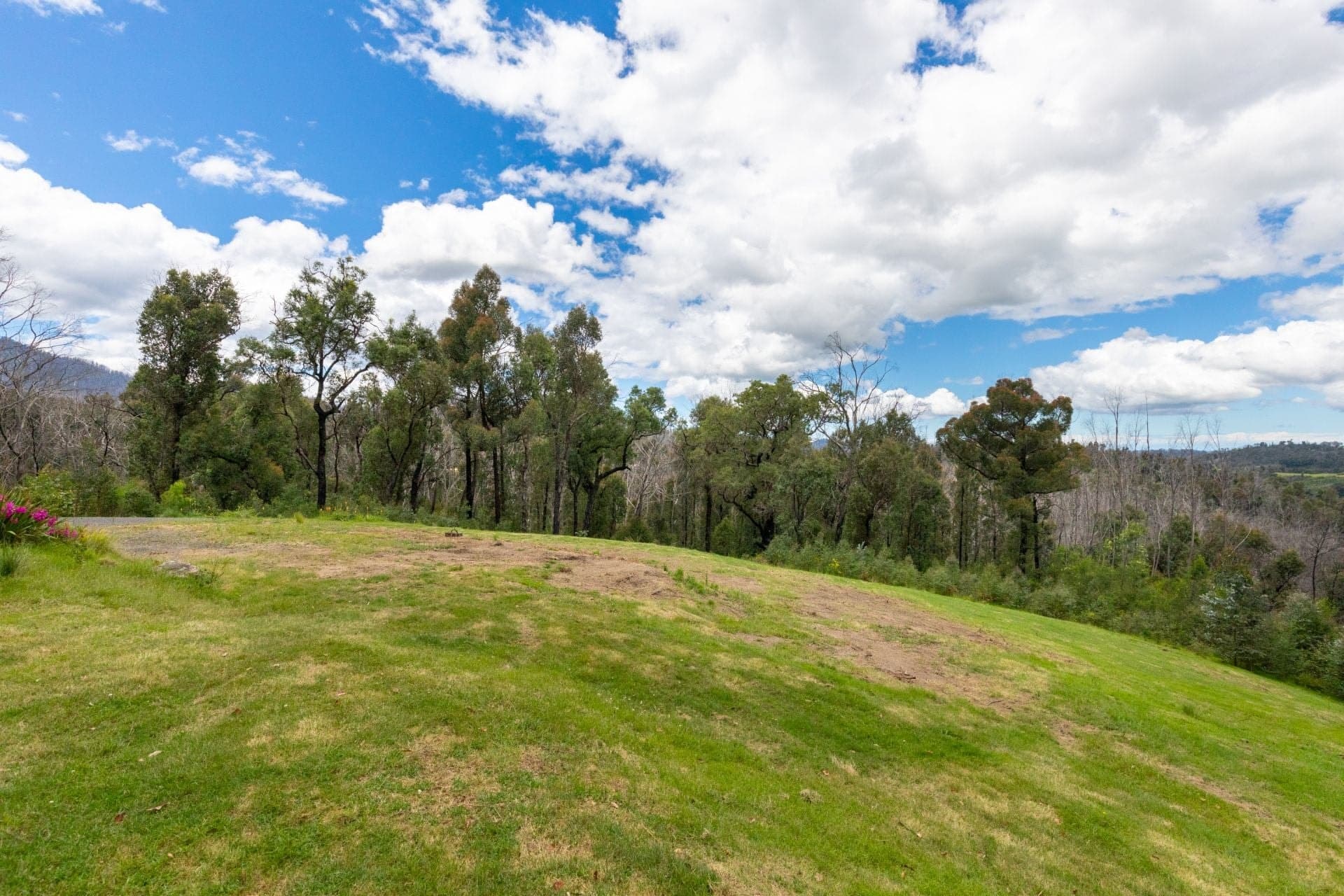 25 Murrabrine Forest Road Yowrie NSW, Yowrie - Image 1