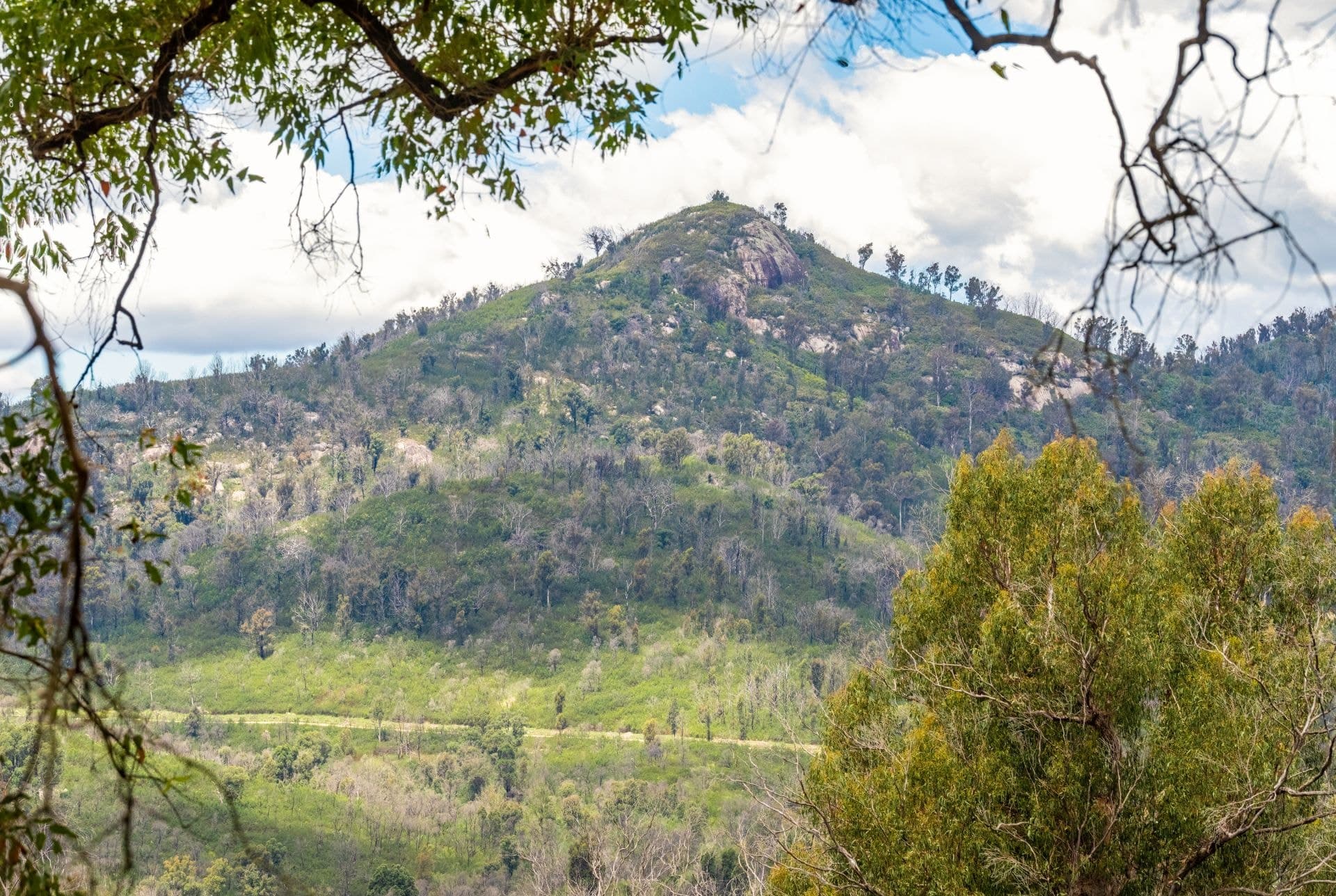 25 Murrabrine Forest Road Yowrie NSW, Yowrie - Thumbnail 2