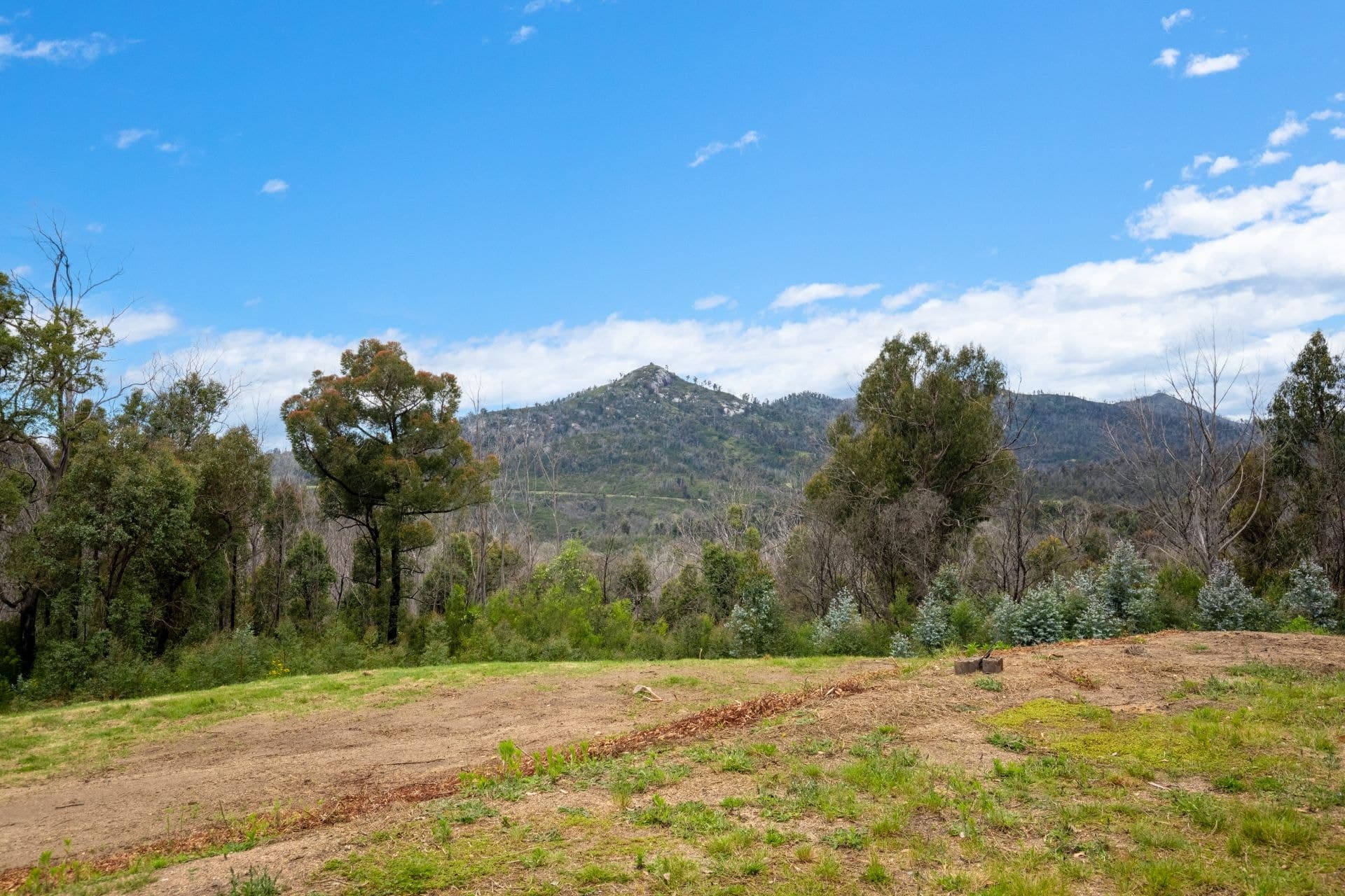 25 Murrabrine Forest Road Yowrie NSW, Yowrie - Thumbnail 4