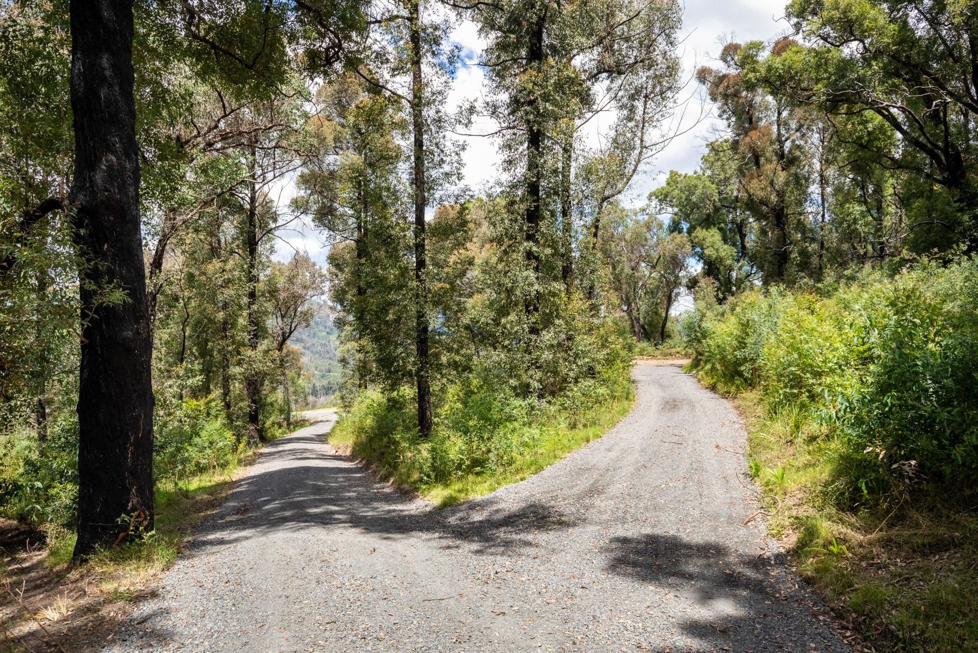 25 Murrabrine Forest Road Yowrie NSW, Yowrie - Thumbnail 8