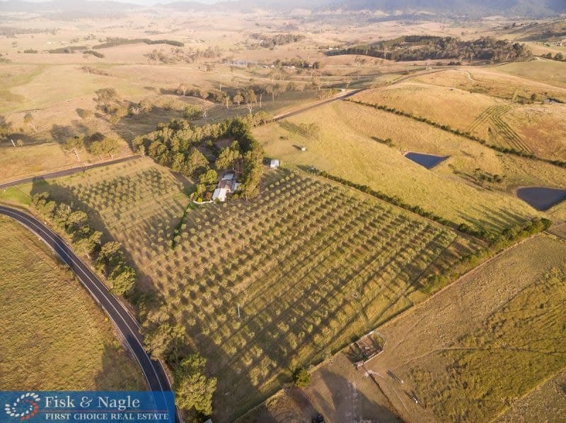 519 Towridgee Lane Toothdale NSW, Toothdale - Thumbnail 6