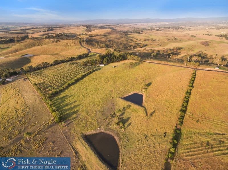 519 Towridgee Lane Toothdale NSW, Toothdale - Thumbnail 8
