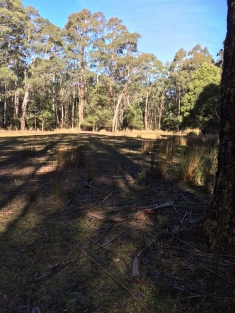 Lot 43 Mt Darragh Road Mount Darragh NSW, Mount Darragh - Image 1