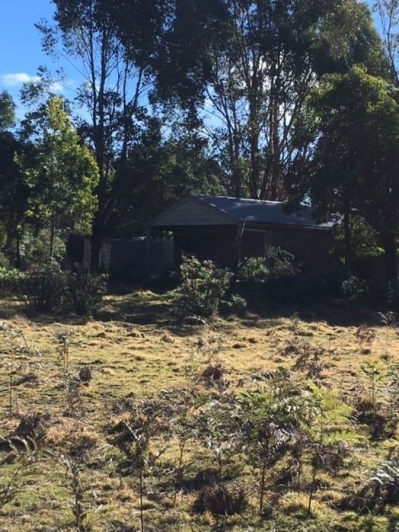 Lot 43 Mt Darragh Road Mount Darragh NSW, Mount Darragh - Thumbnail 2