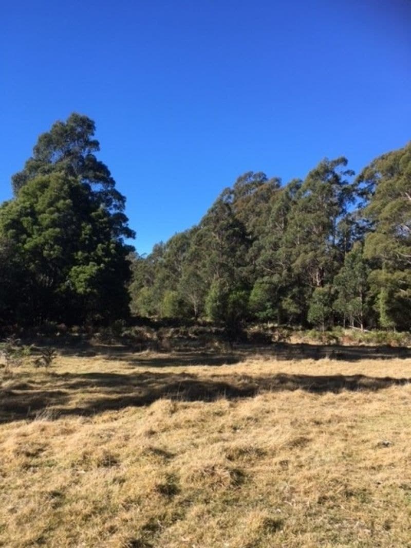 Lot 43 Mt Darragh Road Mount Darragh NSW, Mount Darragh - Thumbnail 7