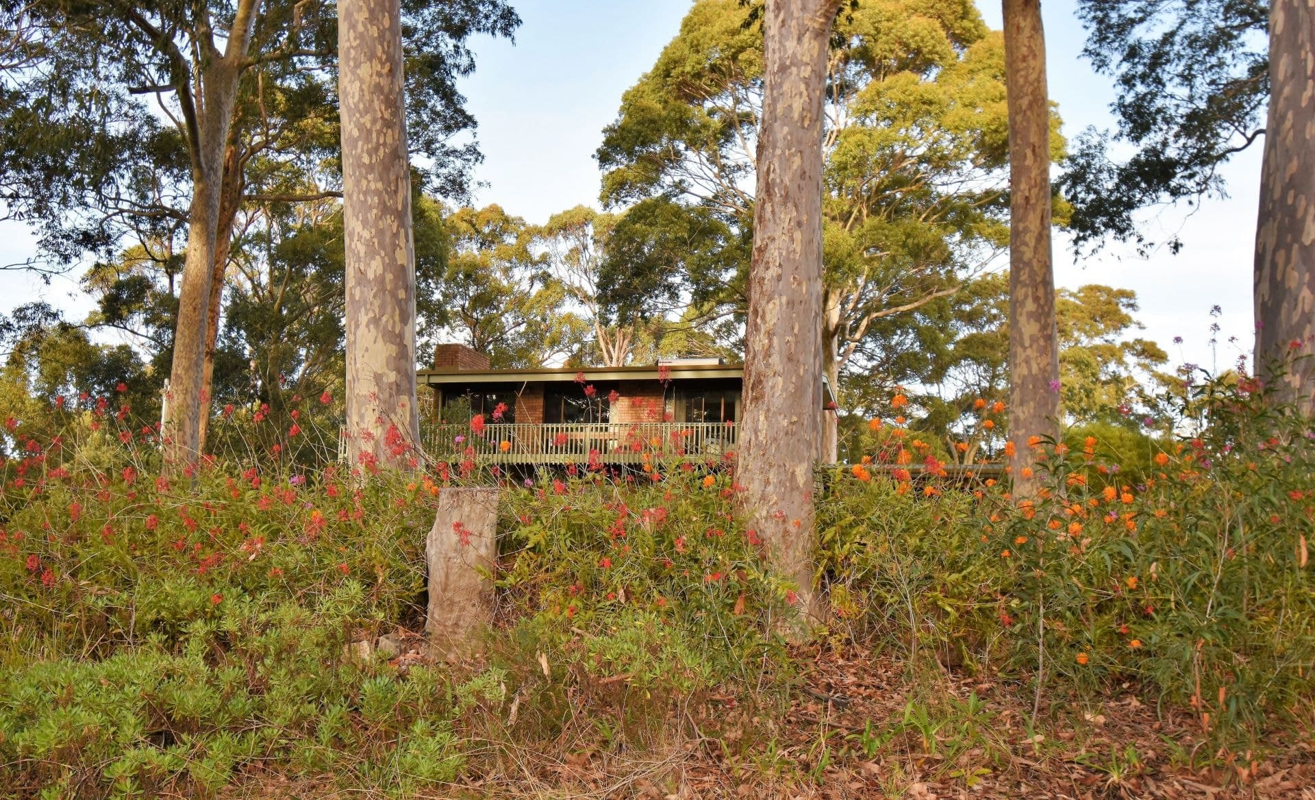 66 George Street Bermagui NSW, Bermagui - Image 1