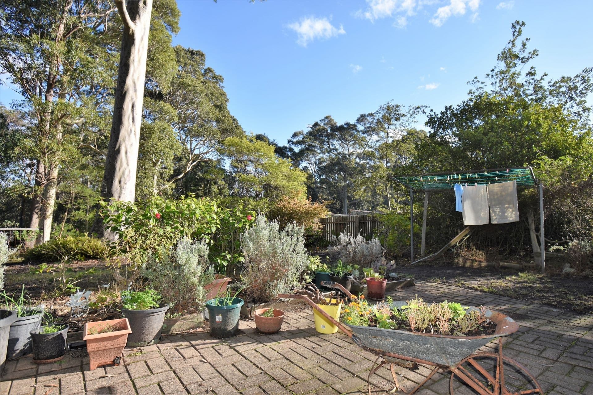 66 George Street Bermagui NSW, Bermagui - Thumbnail 5