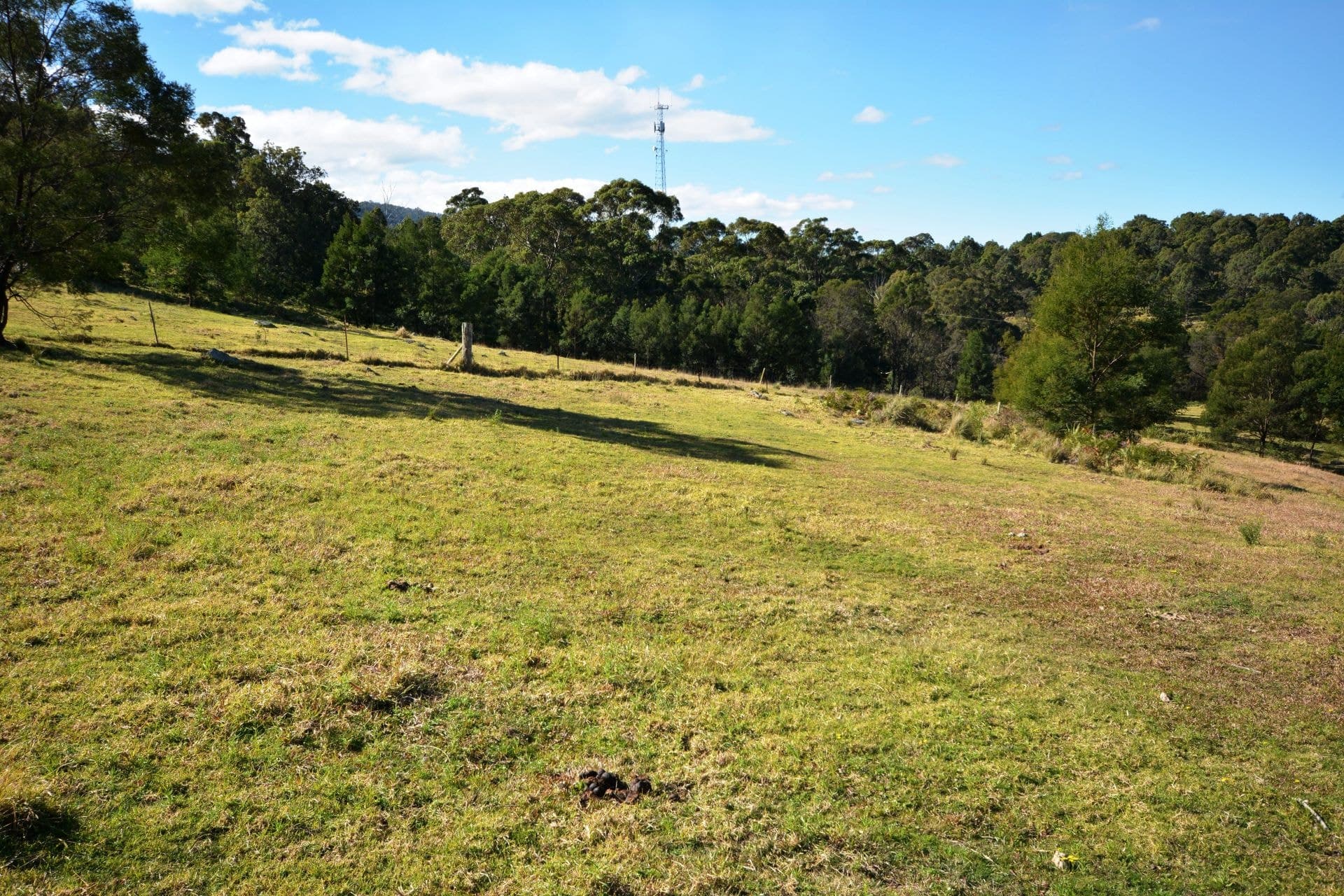 10457 Princes Highway, Cobargo, Cobargo - Image 1