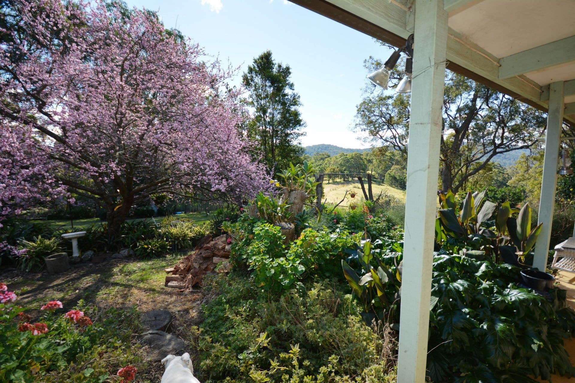 10457 Princes Highway, Cobargo, Cobargo - Thumbnail 4