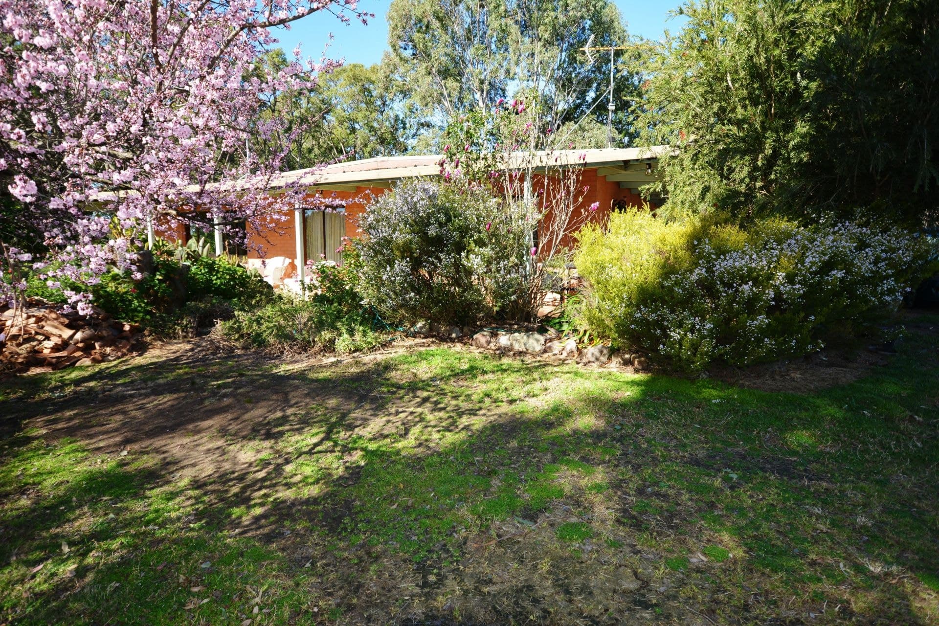 10457 Princes Highway, Cobargo, Cobargo - Thumbnail 5