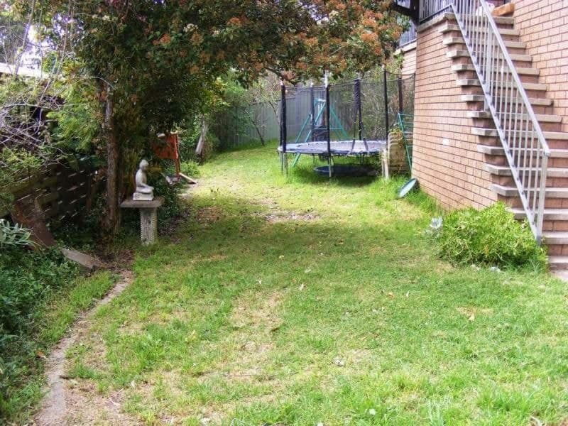 256 Auckland Street Bega NSW, Bega - Thumbnail 5