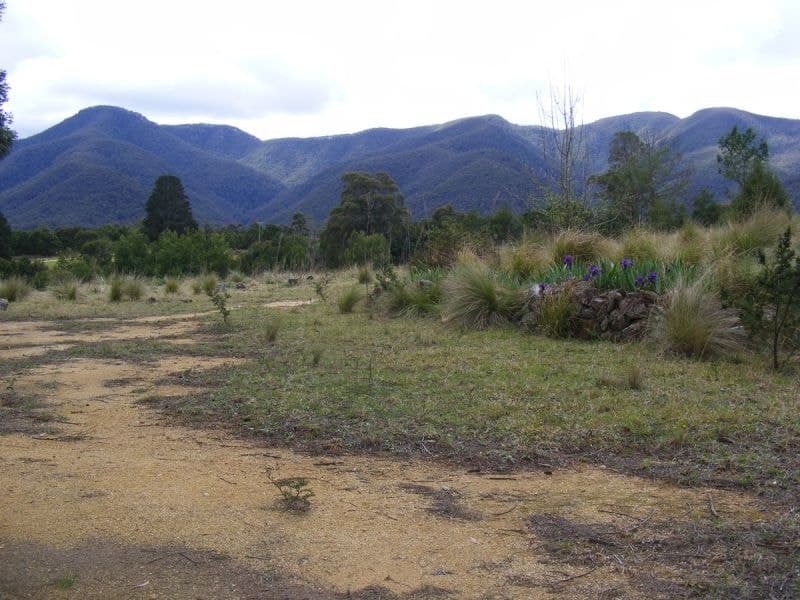 549 Yankees Gap Road Bemboka NSW, Bemboka - Image 1