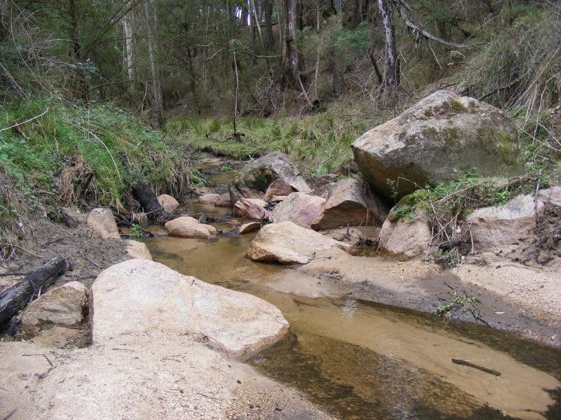 549 Yankees Gap Road Bemboka NSW, Bemboka - Thumbnail 4