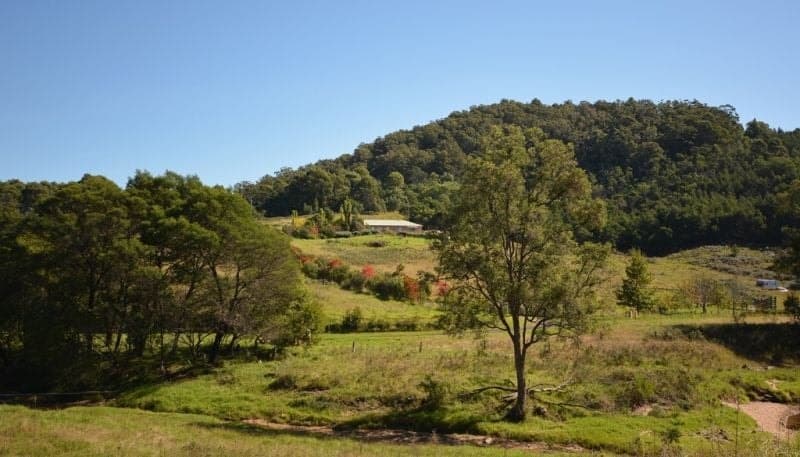 184 Barrabaroo Road Cobargo NSW, Cobargo - Thumbnail 3