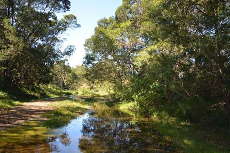 184 Barrabaroo Road Cobargo NSW, Cobargo - Thumbnail 5