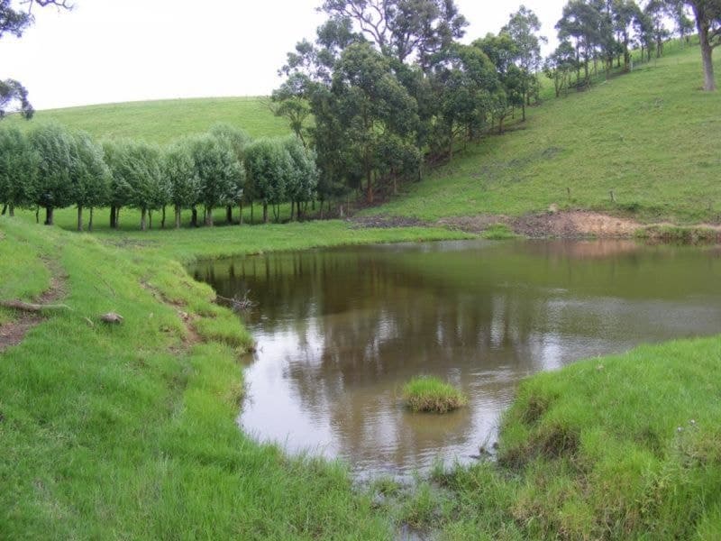 369 Cooper Gully Road Bega NSW, Bega - Image 1