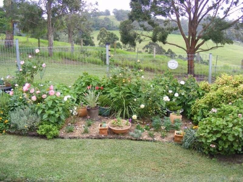369 Cooper Gully Road Bega NSW, Bega - Thumbnail 3