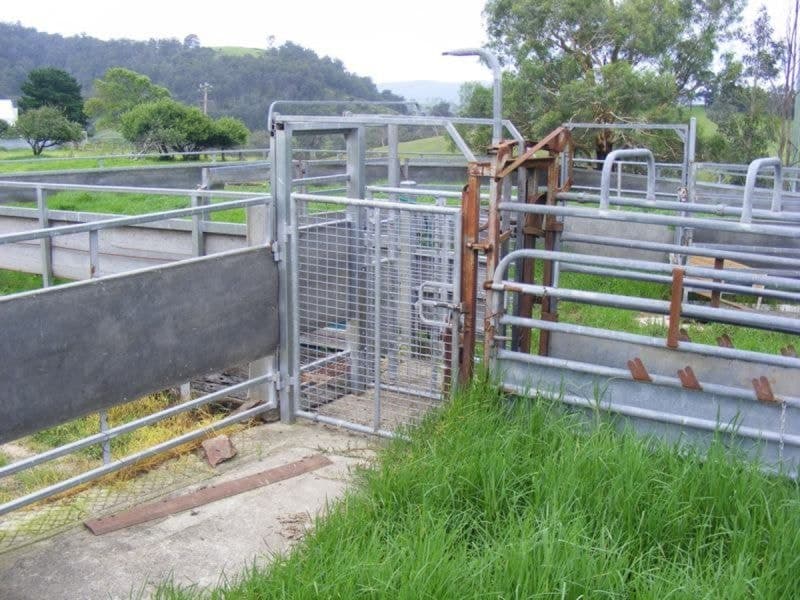 369 Cooper Gully Road Bega NSW, Bega - Thumbnail 4
