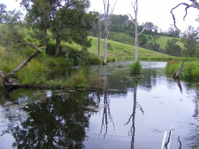 369 Cooper Gully Road Bega NSW, Bega - Thumbnail 5