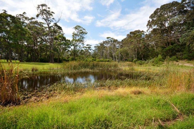 63 Comben Lane Bermagui NSW, Bermagui - Thumbnail 5