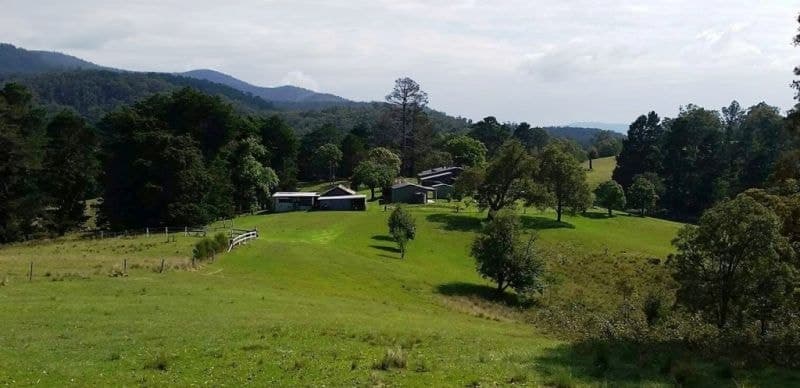 651 Yowrie Road Cobargo NSW, Cobargo - Thumbnail 5