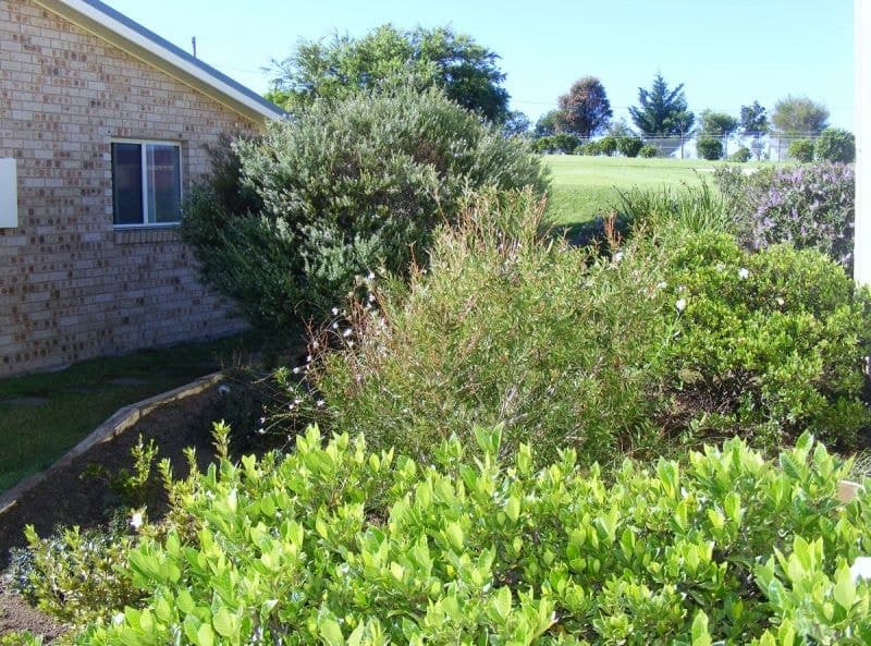 385 Towridgee Lane Candelo NSW, Candelo - Image 1