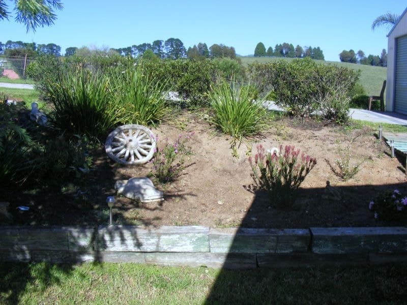 385 Towridgee Lane Candelo NSW, Candelo - Thumbnail 2