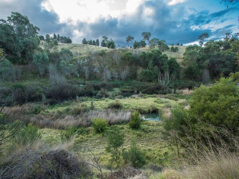 1865 Myrtle Mountian Road Candelo NSW, Candelo - Image 1