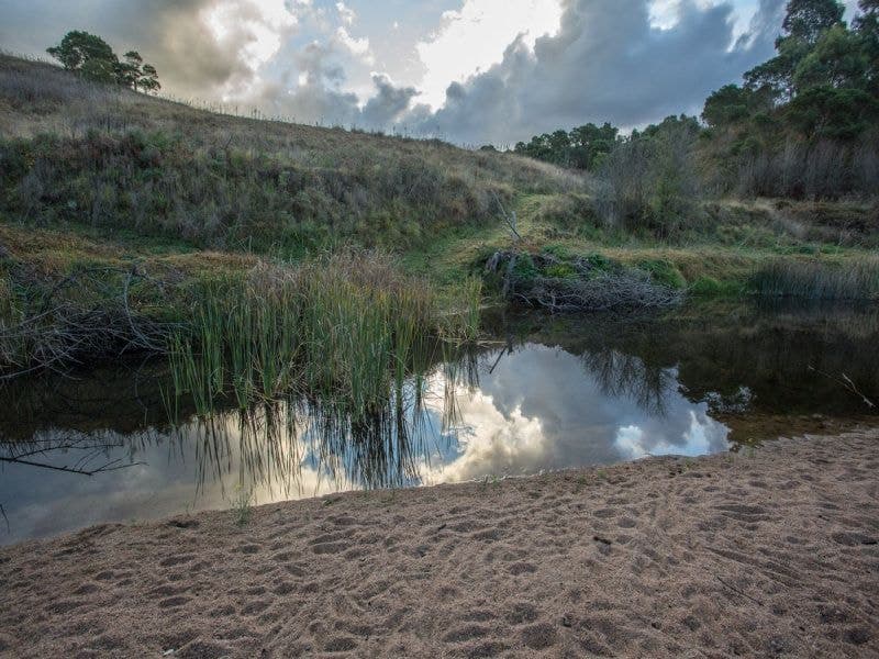 1865 Myrtle Mountian Road Candelo NSW, Candelo - Thumbnail 2