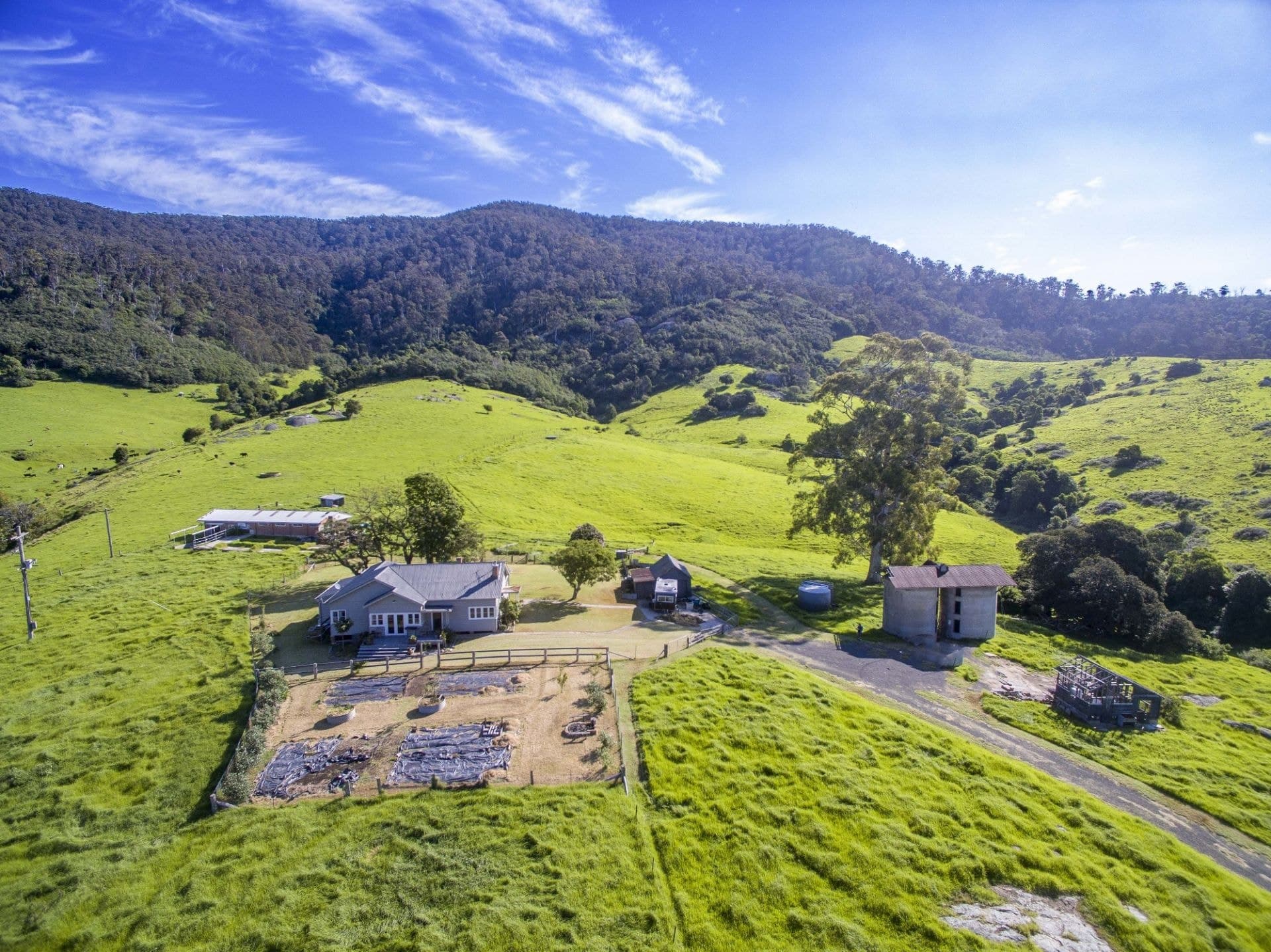 173 Punkalla Tilba Road Central Tilba NSW, Central Tilba - Thumbnail 4