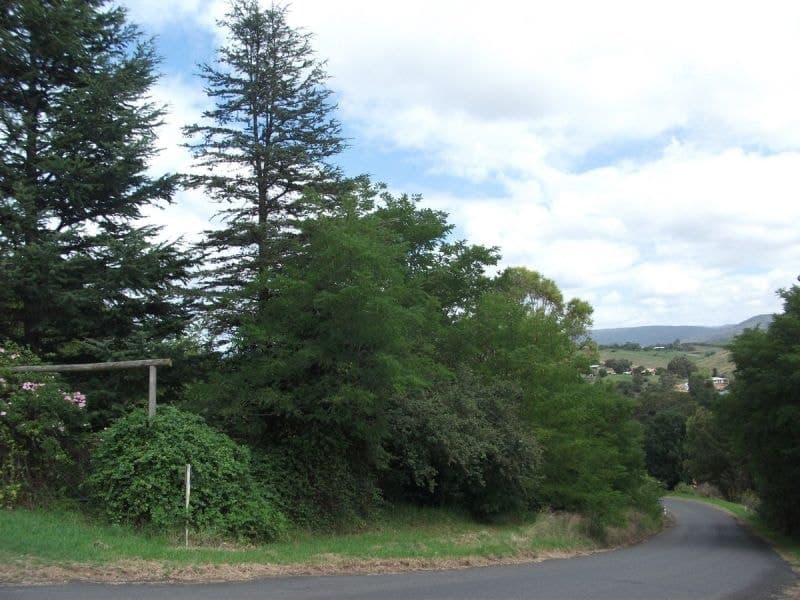 36 Auckland Street Candelo NSW, Candelo - Thumbnail 2