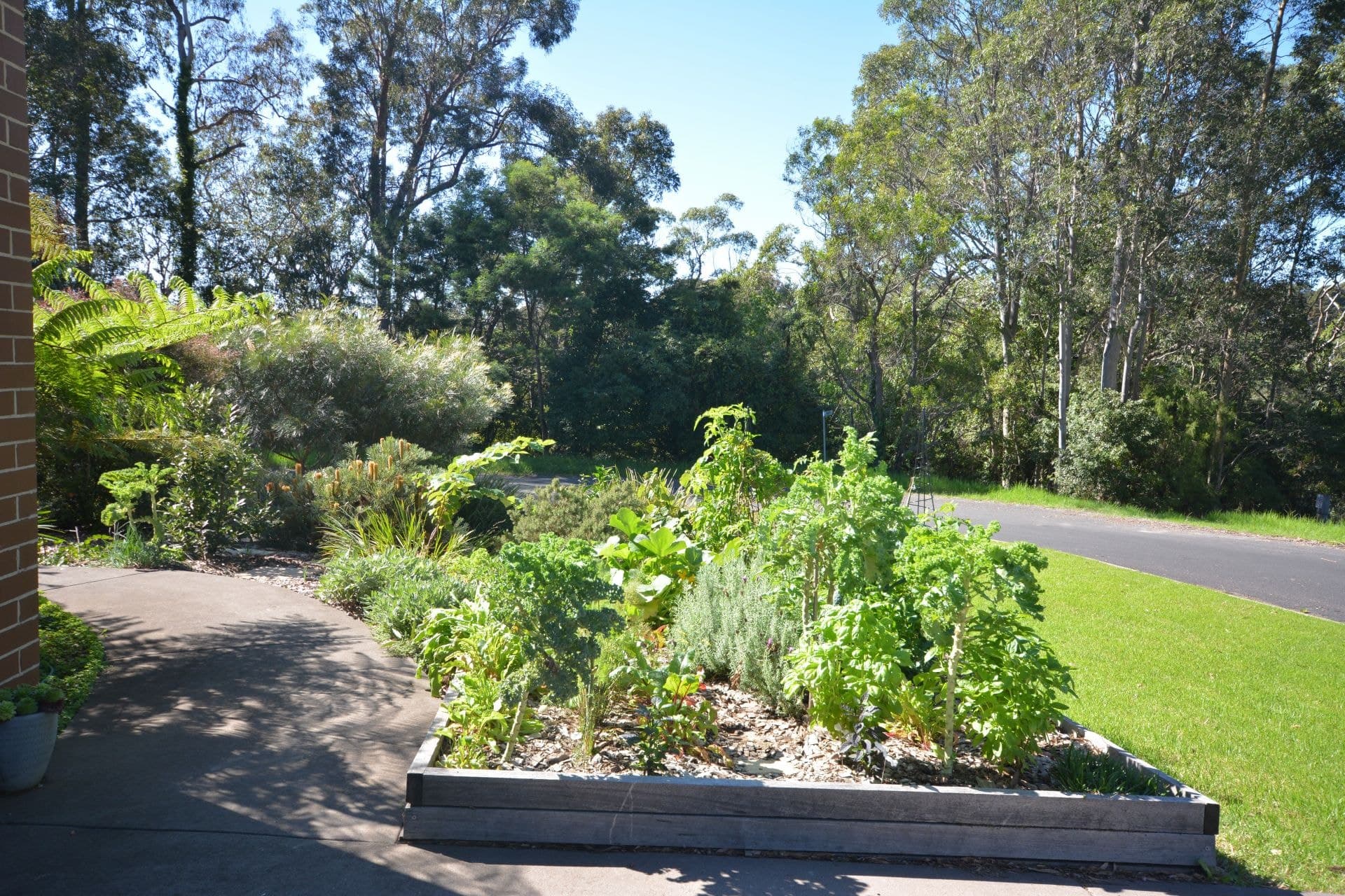 59 Parbery Avenue Bermagui NSW, Bermagui - Thumbnail 2
