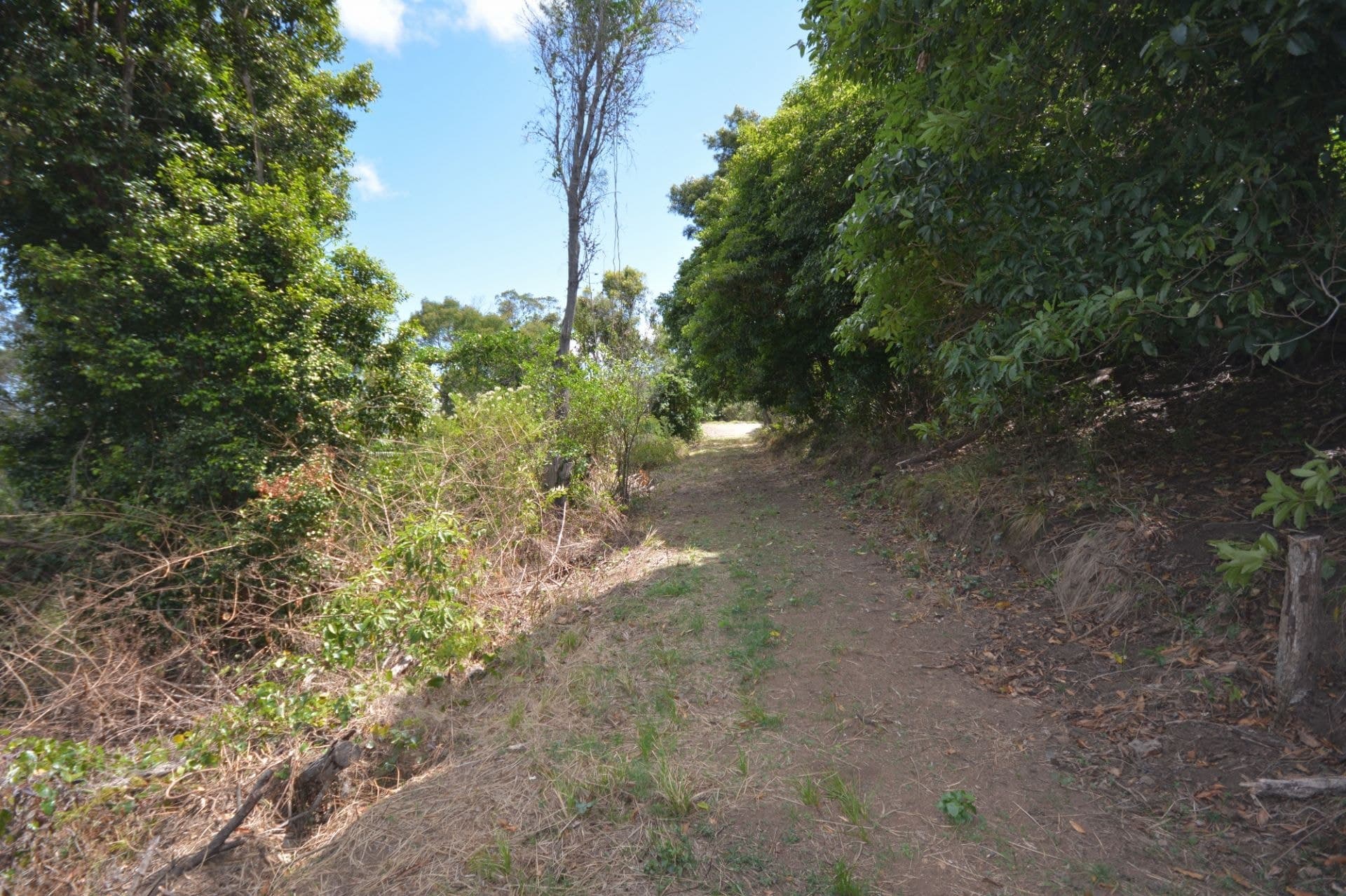 107 Dromedary Street, Tilba Tilba, Tilba Tilba - Image 1