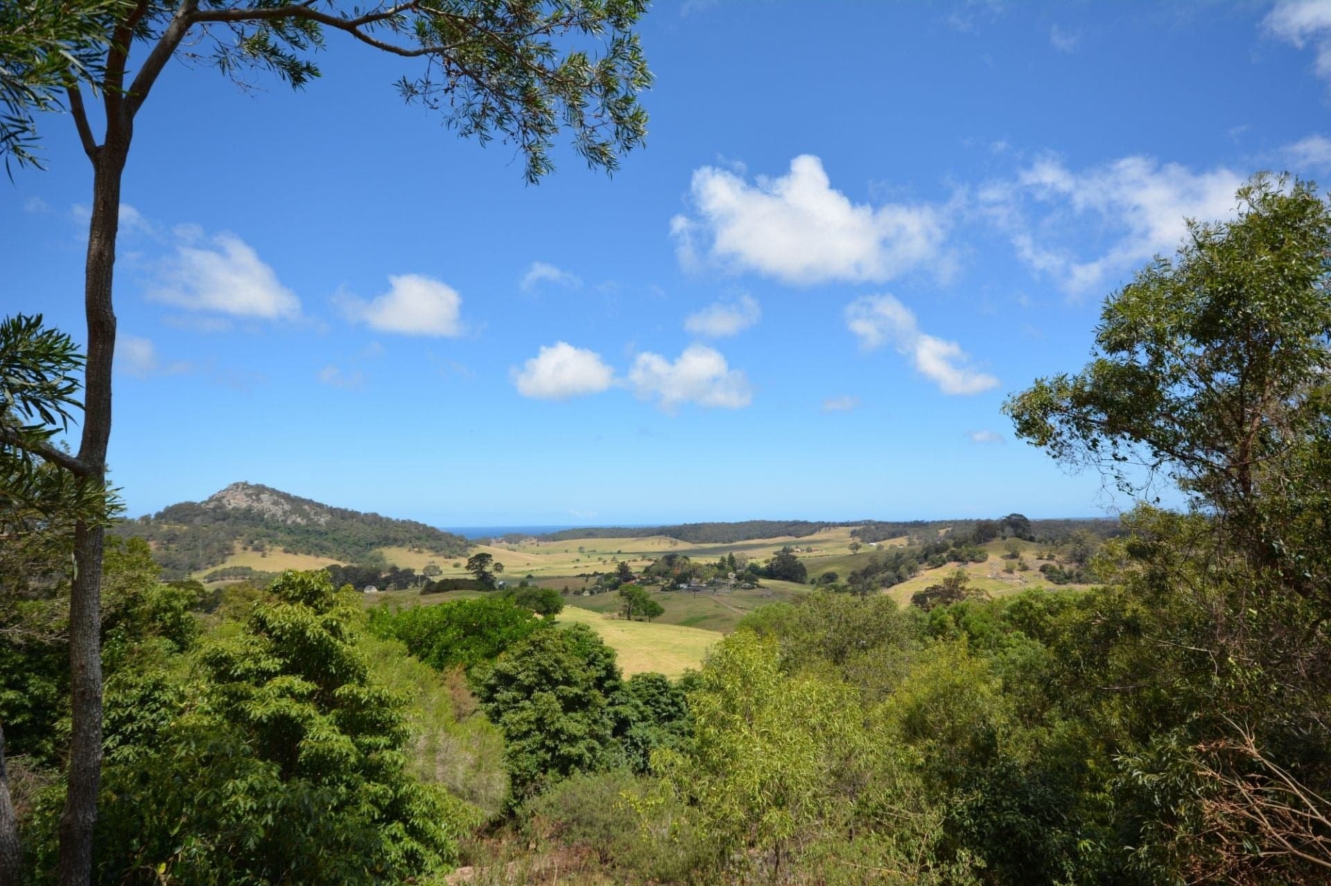 107 Dromedary Street, Tilba Tilba, Tilba Tilba - Thumbnail 3
