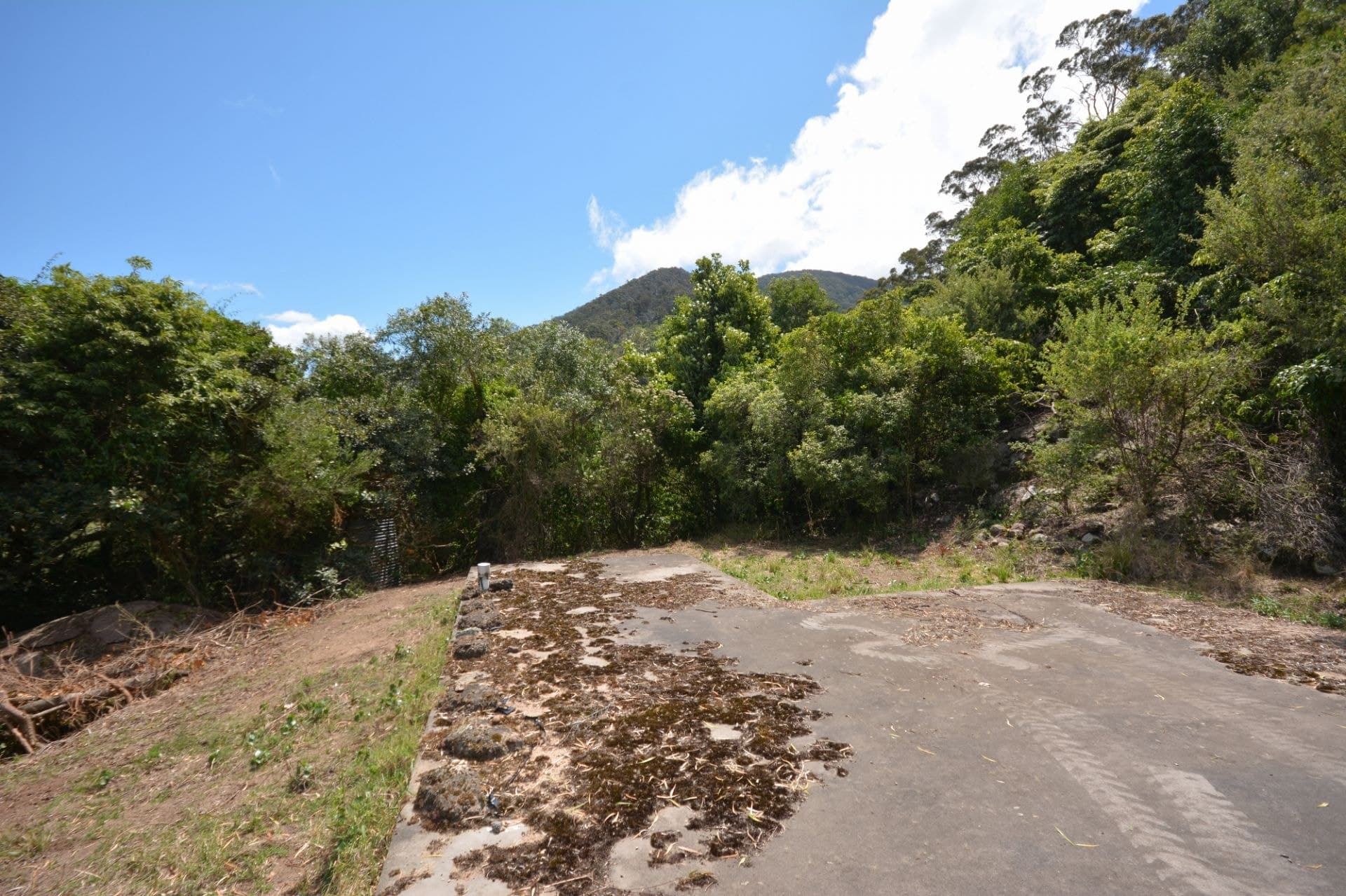 107 Dromedary Street, Tilba Tilba, Tilba Tilba - Thumbnail 8