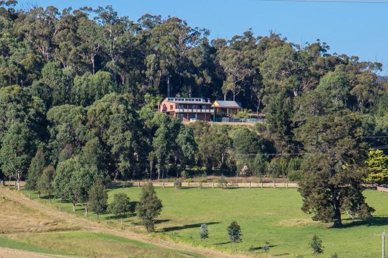 407 Candelo Road Wolumla NSW, Wolumla - Thumbnail 4