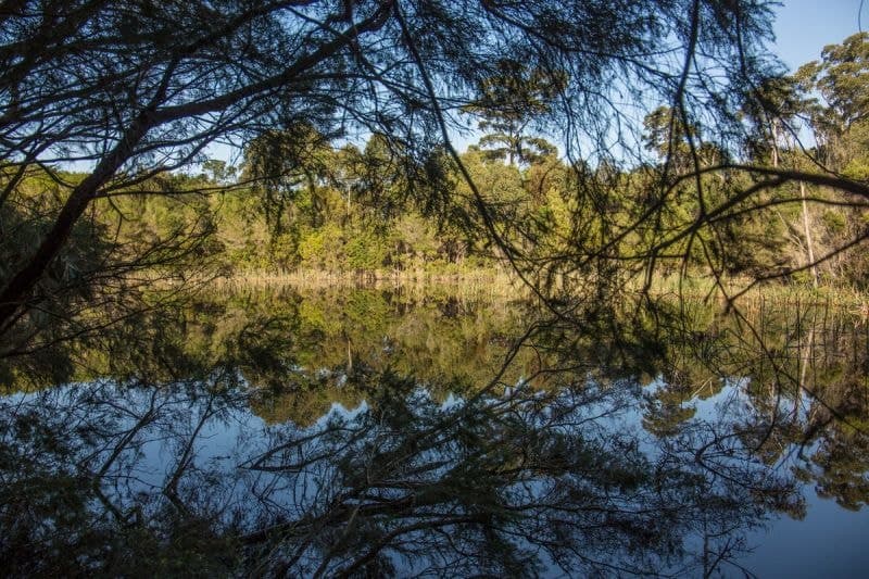 92 Lakewood Drive Merimbula NSW, Merimbula - Thumbnail 4
