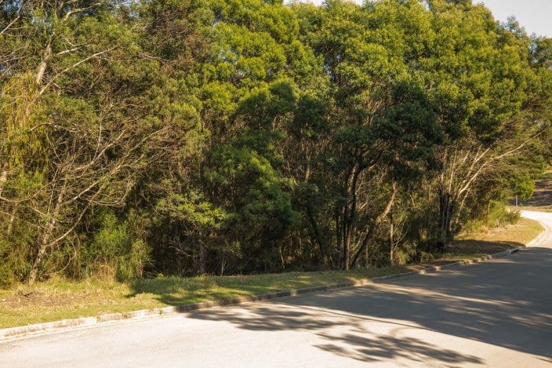 92 Lakewood Drive Merimbula NSW, Merimbula - Thumbnail 6