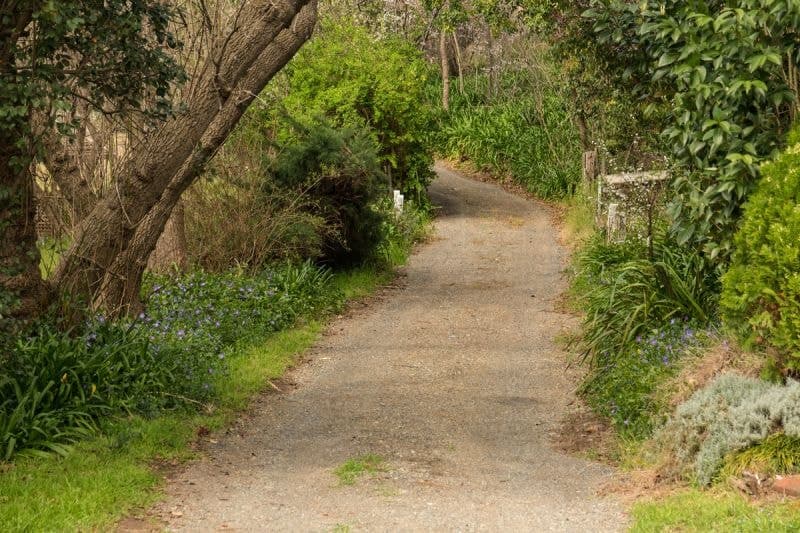 20 Tantawangalo Mountain Road Candelo NSW, Candelo - Thumbnail 6