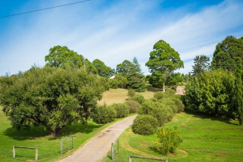 150 Ravenswood Street Bega NSW, Bega - Thumbnail 4