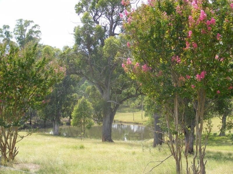 33 Moorlands Lane Bega NSW, Bega - Thumbnail 3
